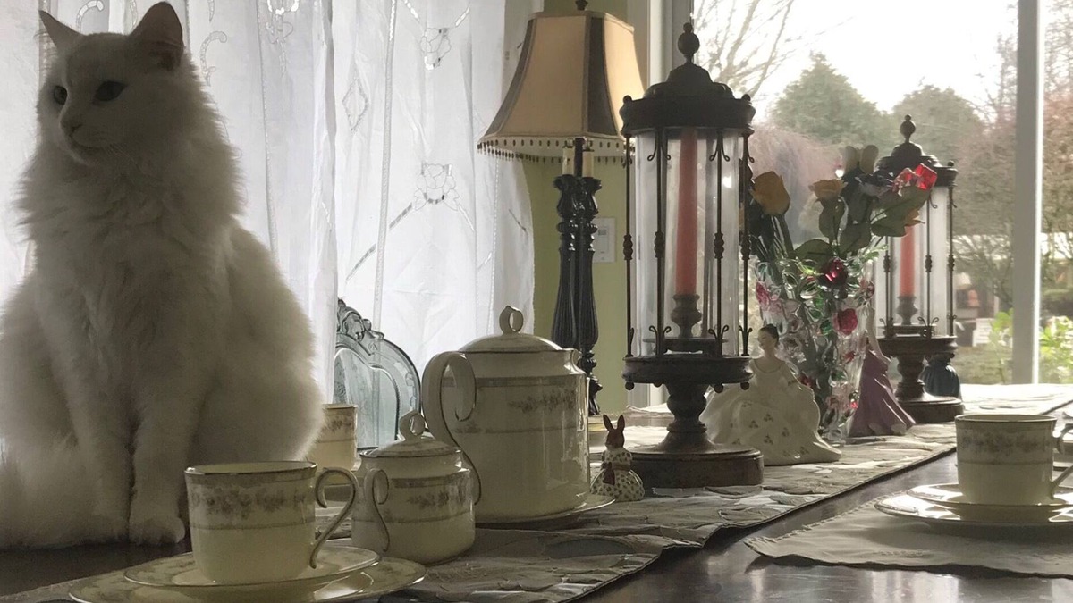 Steveston House | Sweet Home