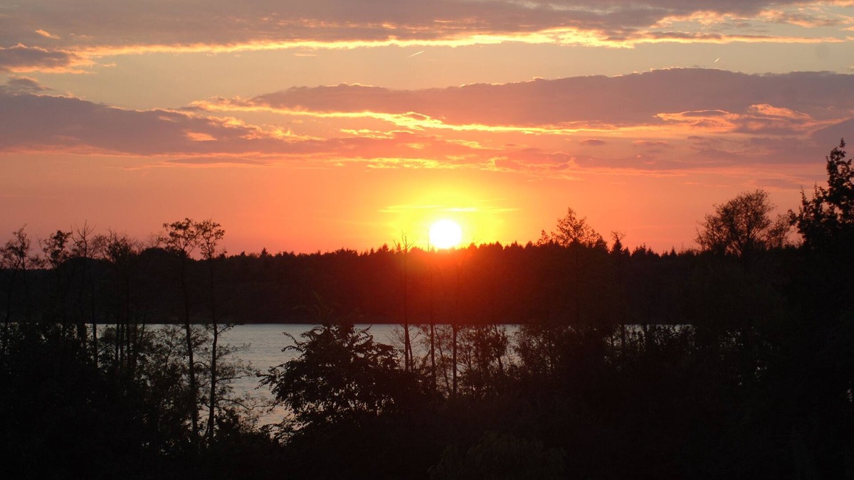 Werder Apartment | Swimming lake right by the large garden, dogs like, south-facing slope