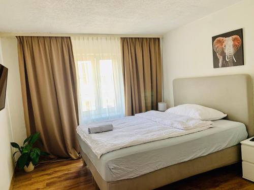 Pratteln Hotel | Swiss Hotel Krummen Eich Pratteln Free Parking