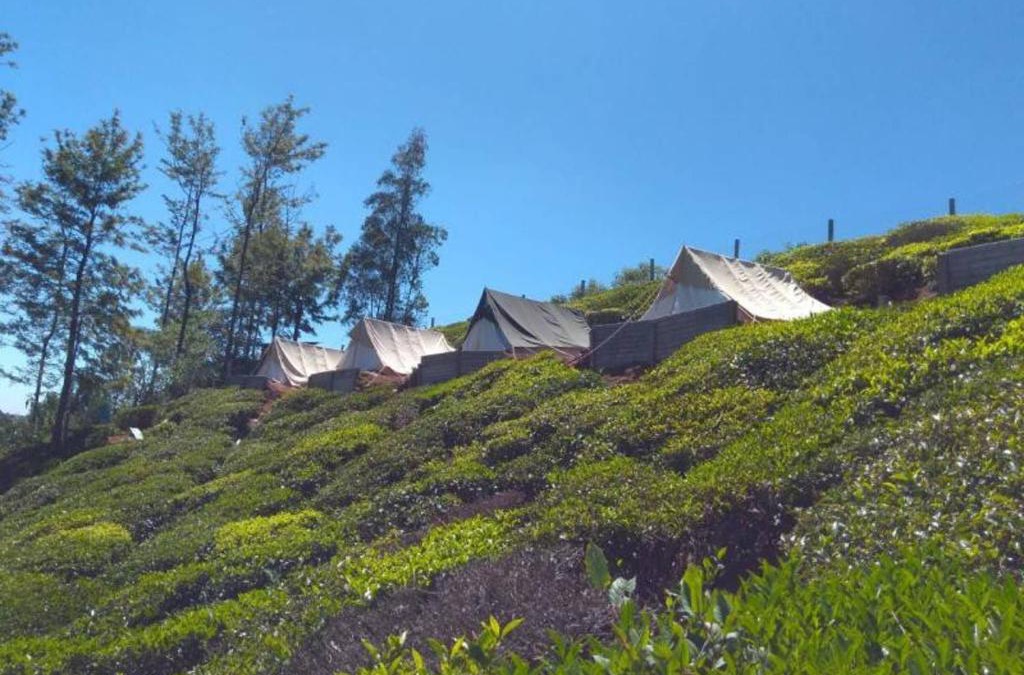 Ithalar House | Swiss Tents in Ooty, Tn