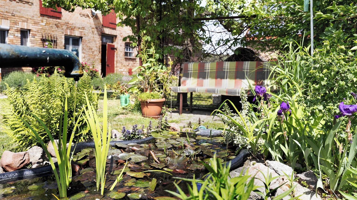 Friedland House | Switch Off from Everyday Life, Enjoy Peace and Nature