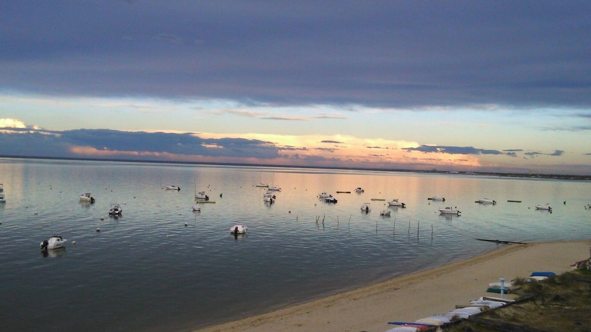 Arcachon Apartment | T2 FEET IN WATER SEA VIEW