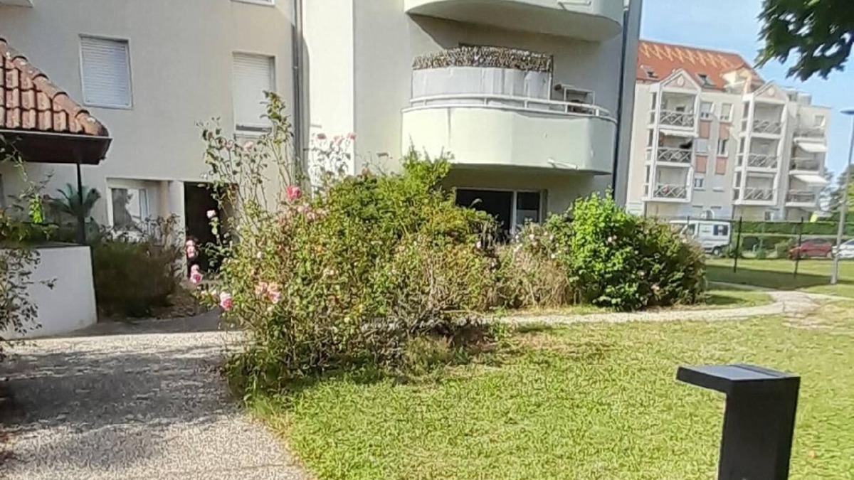 Chevigny-Saint-Sauveur Apartment | T2 garden level, spacious, sunny, very quiet, close to all amenities.