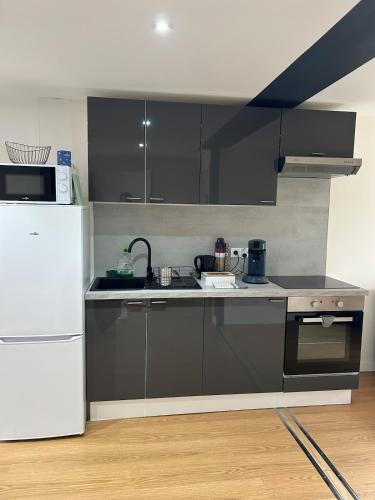 Vieux Vichy Apartment | T3 - 2 Chambres et BZ - Vieux Vichy