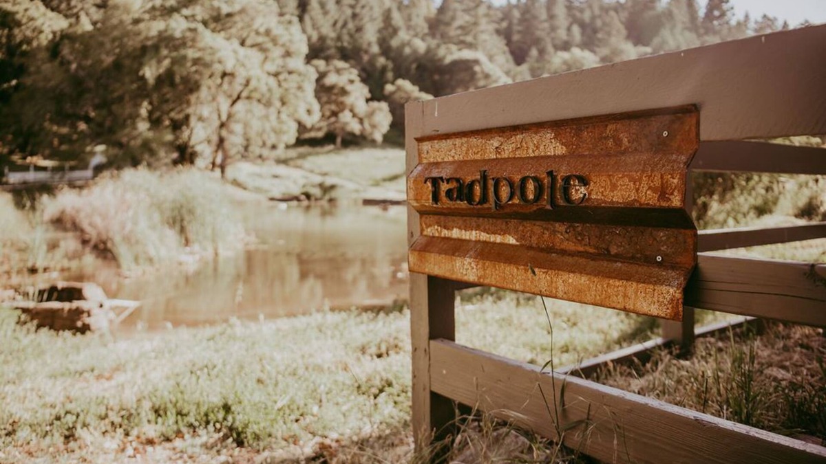 California Wine Country Cottage | Tadpole Cottage