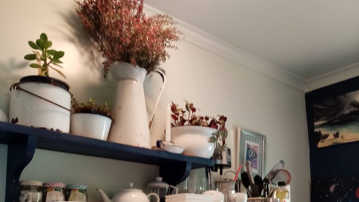 Tahakopa Cabin | Tahakopa Lodge and The Catlins