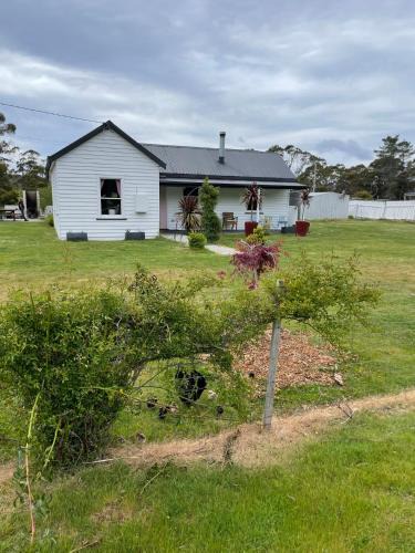 South Mount Cameron House | Tassie Shack