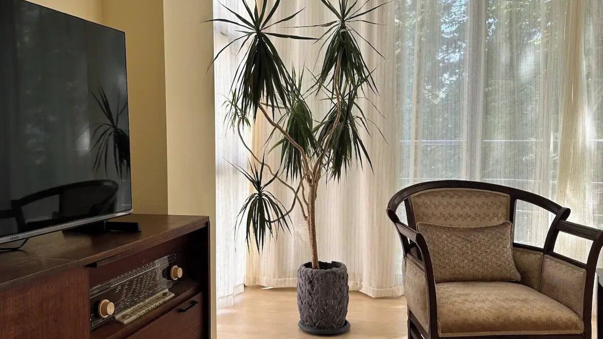 Caddebostan Mahallesi House | Tasteful and peaceful 2 bedroom