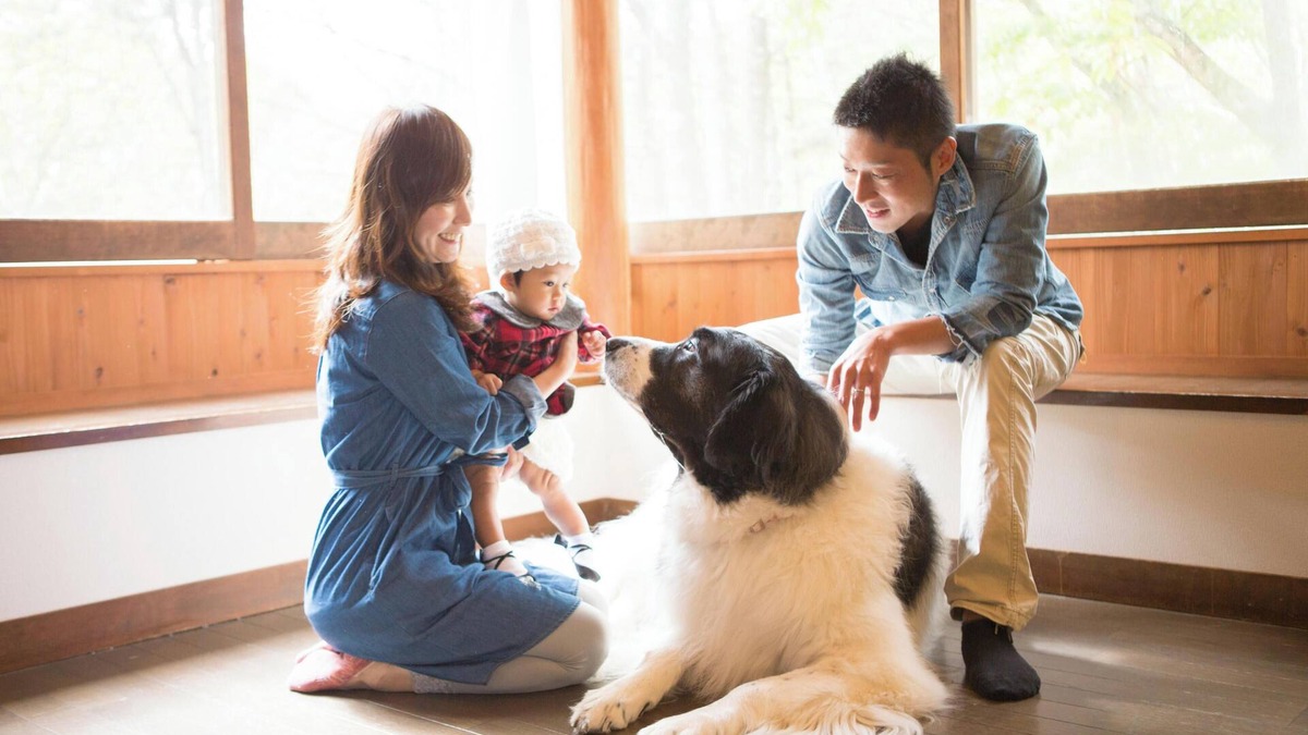 Tateshina Cottage | Tateshina Wanwan Paradise Cottage
