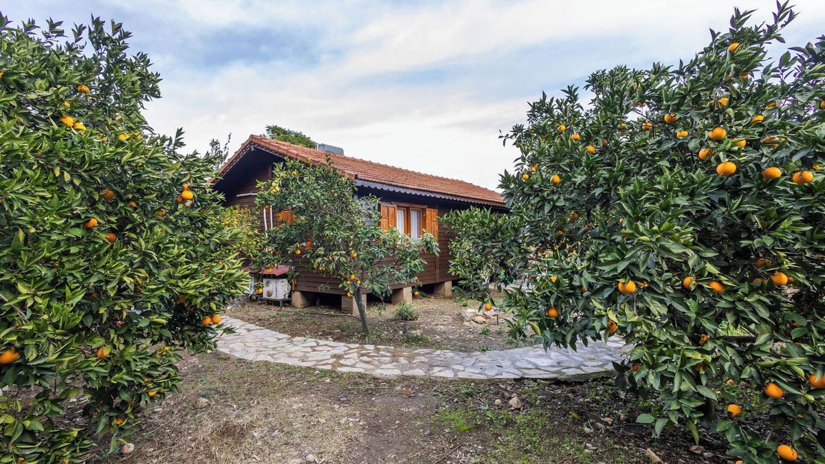 Cirali House | tatil evi dilek çıralı türkiye