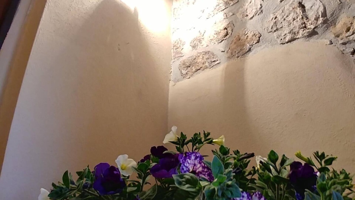 Alatri House | Tato- home