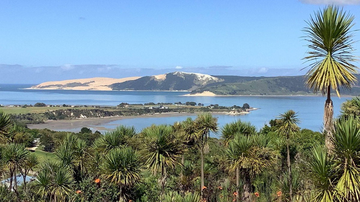 Whirinaki Apartment | Te Ahuru Mowai - The Safe Haven