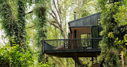 Ngahere House | Te Aka Treehouse