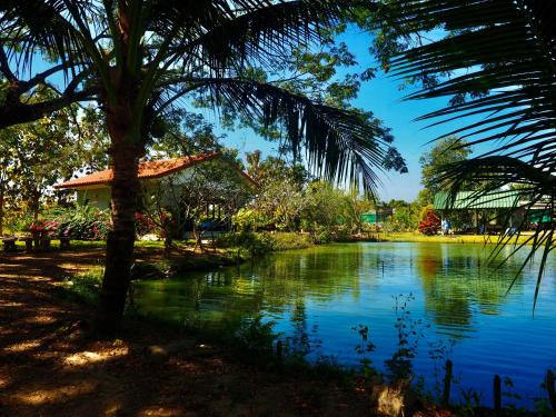 San Pa Thong Ski Chalet | Tea Tree House in Chiang Mai