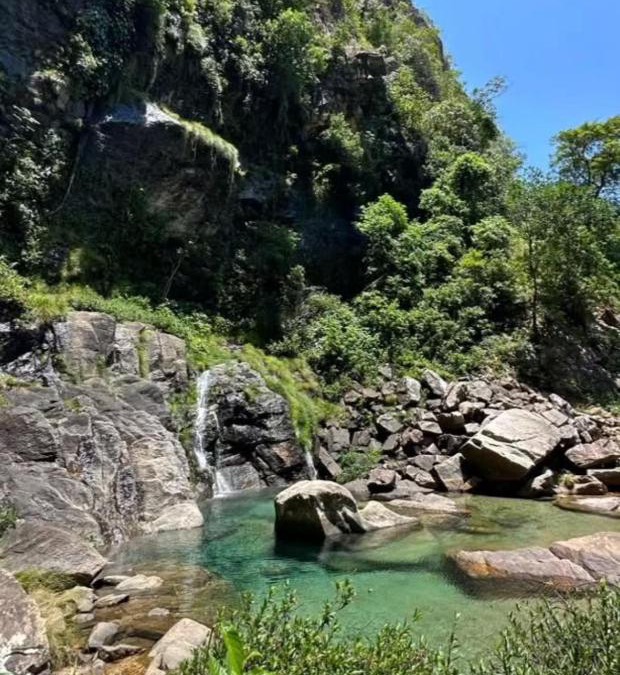 Parana House | Teles House