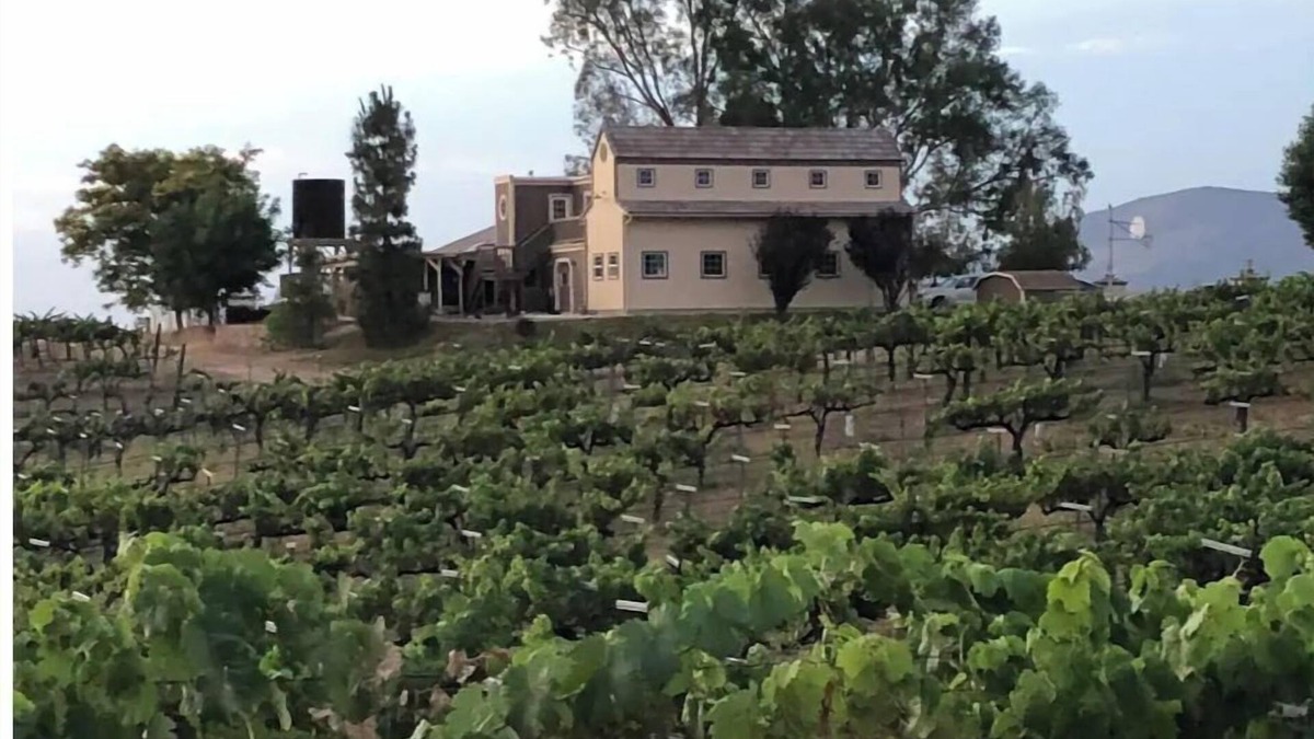 Temecula House | Temecula Wine Country Home on 5 Acre Vineyard