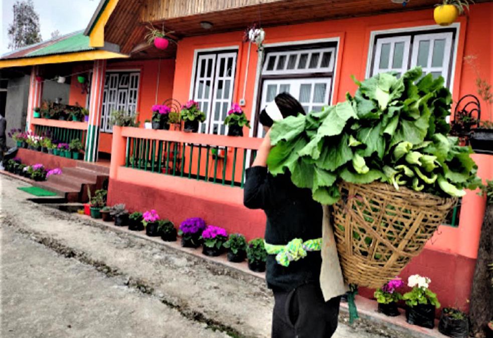 Namchi House | Temi Sarika Homestay