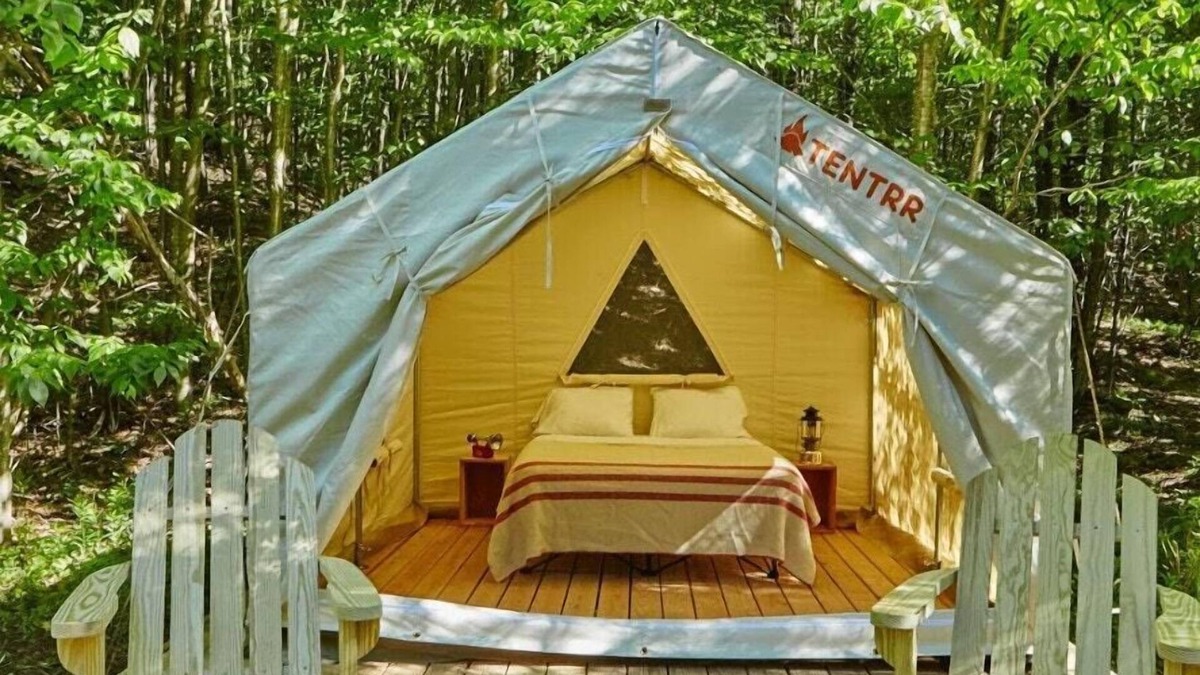 Talisheek RV Rental | Tentrr State Park Site - Louisiana Bogue Chitto State Park - Upland Cliff H - Si