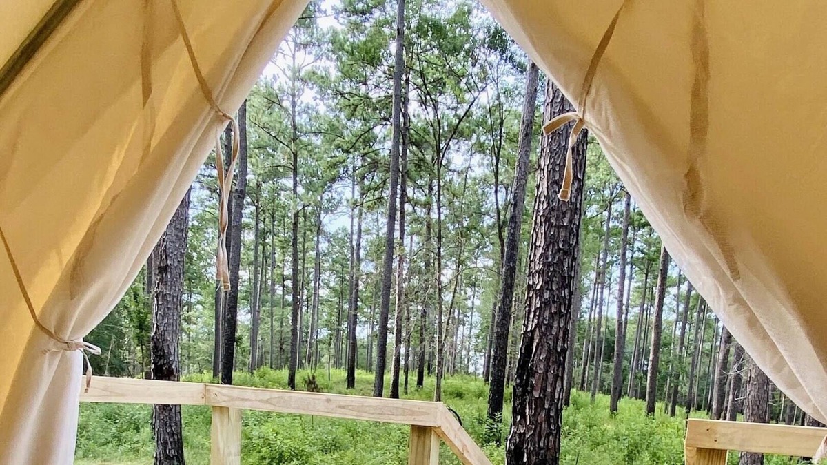 Talisheek RV Rental | Tentrr State Park Site - Louisiana Bogue Chitto State Park - Gorge Trail N - Sin