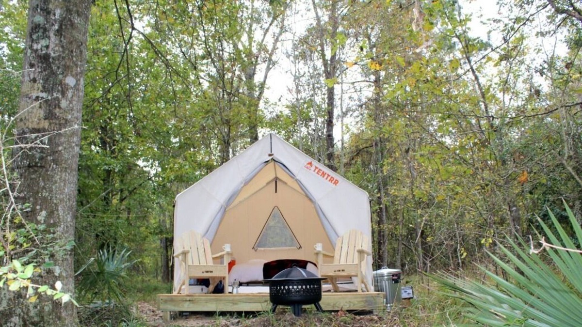 Mandeville RV Rental | Tentrr State Park Site - Louisiana Fontainebleau State Park - Pond View D - Sing