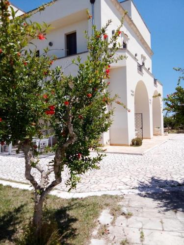 Carmiano Bed & Breakfast | Tenuta degli Agrumi