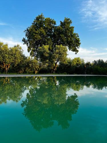 Sessa Aurunca House | Tenuta Paino