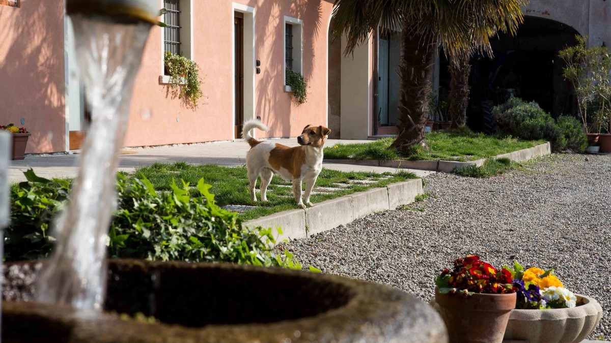 Sillavengo Other | Tenuta Valtoppa