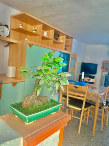 Pisticci House | Teresa's House