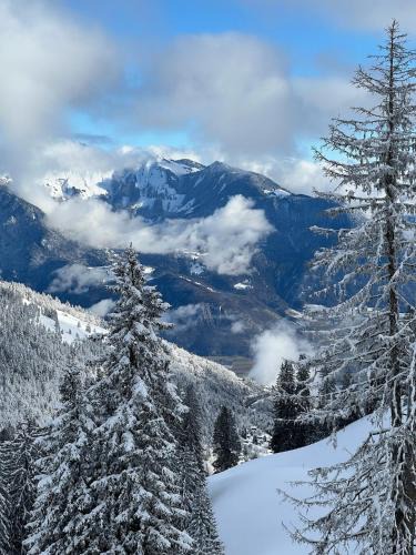 Vionnaz Apartment | terrasse plus parking pour 8 personnes au ski à Torgon