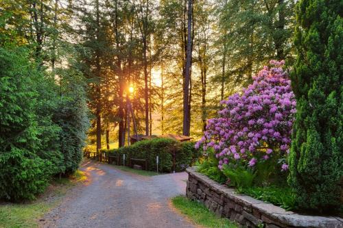 Tambach-Dietharz Apartment | Thüringer Waldbaude