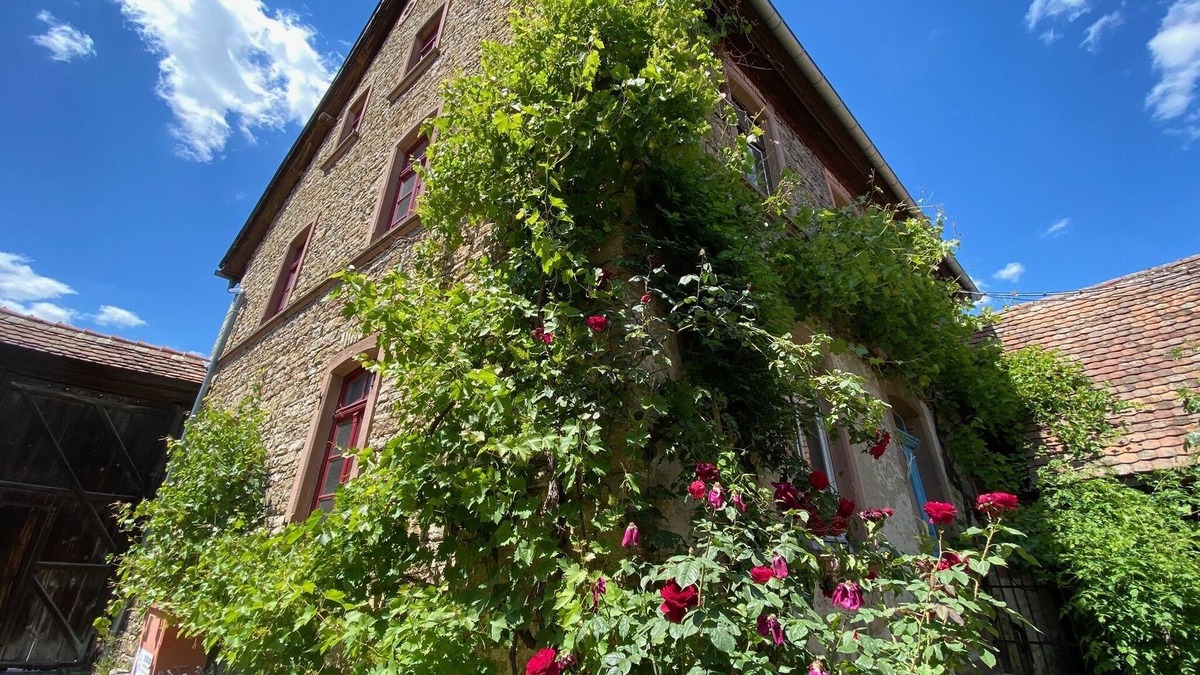 Bockenheim an der Weinstrasse Apartment | The 74 - Bel Etage