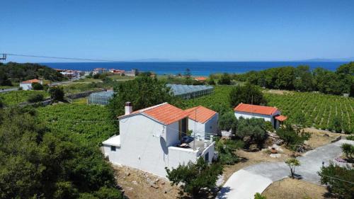 Kokkari House | Thalia's Cottage