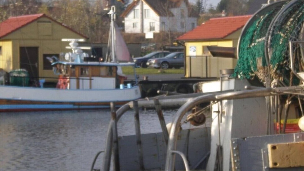 Freest House | thatched house, direct sea view, idyllic location in vacation region Usedom