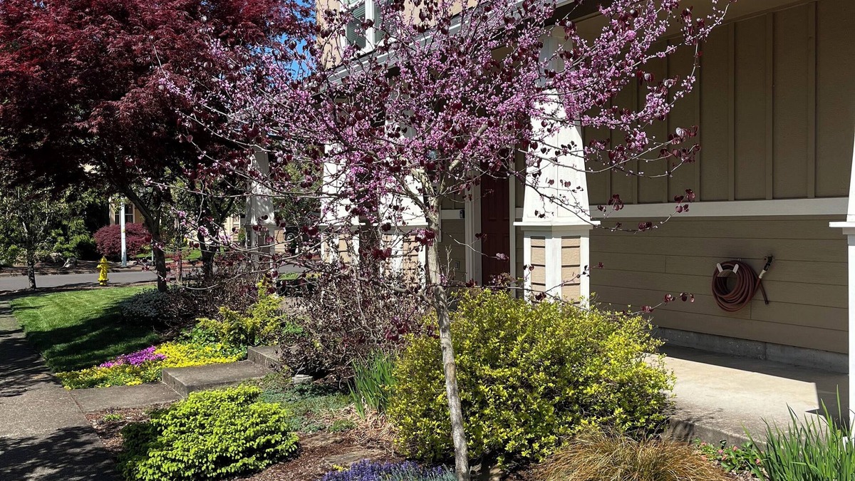 Albany House | The Albany Guest House