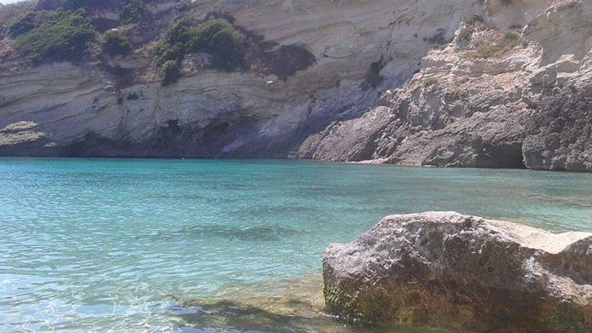 Santa Cesarea Terme Villa | The Ancient Olive Tree-The Garden-Villa between sea and pine forest