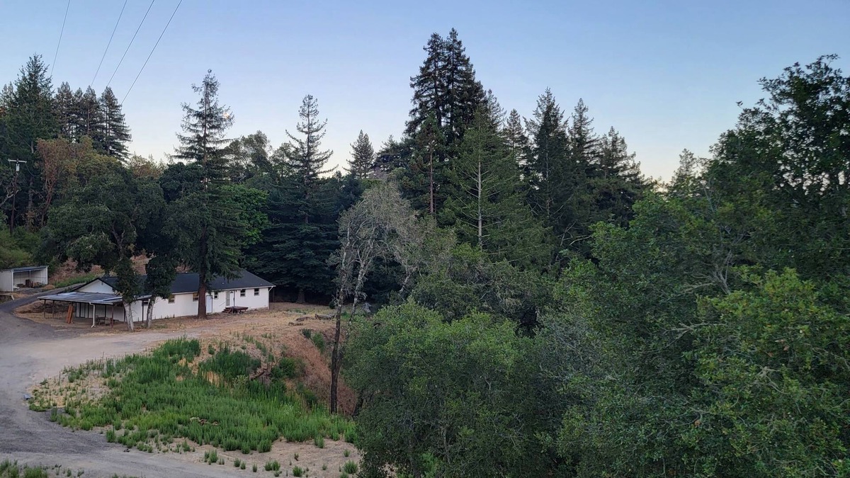 Scotts Valley Other | The Back 40
