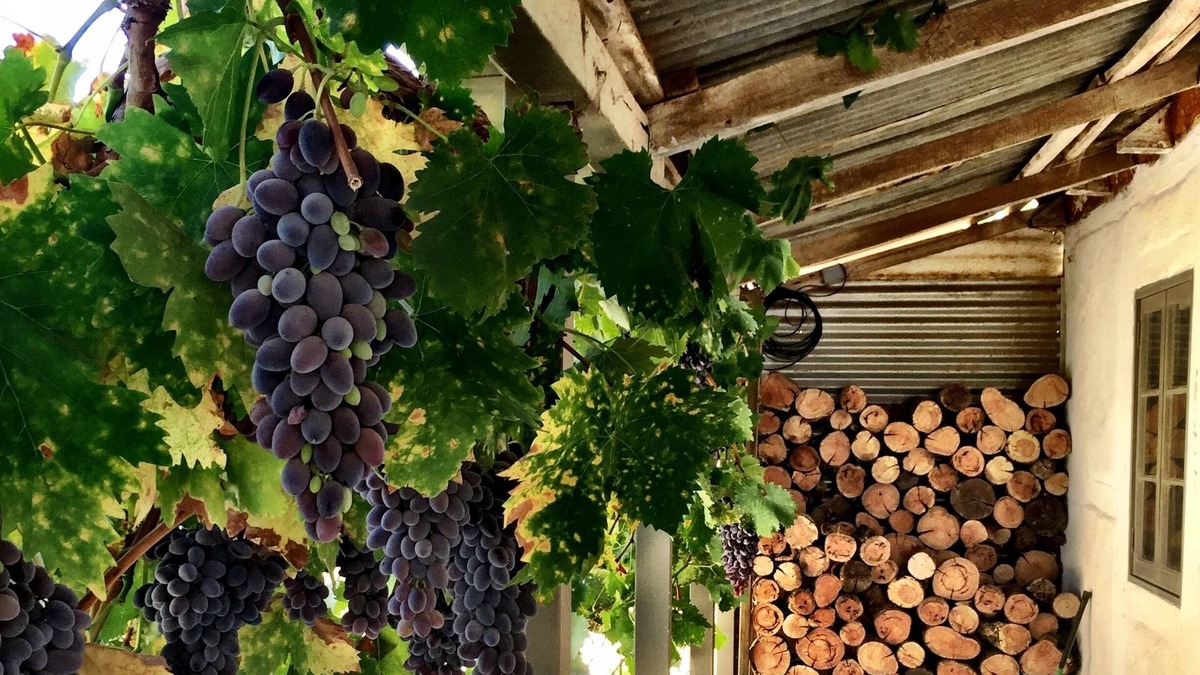 Penrice House | The Barn - a little bit rustic, a little bit luxe