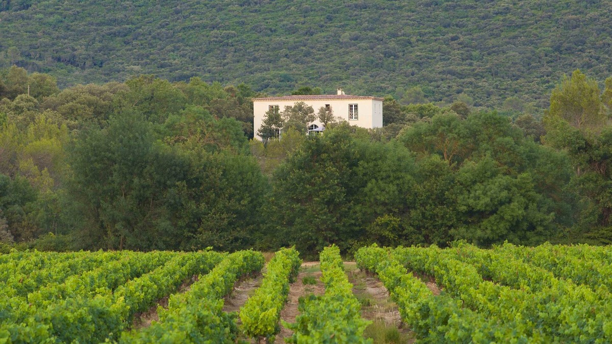 Vacquieres House | The Bastide de la Bouissière
