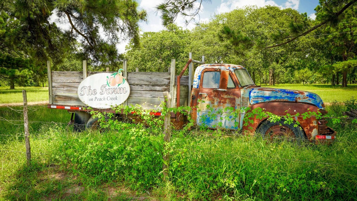 Jeddo Other | The Baugh Farm-Country Living near ATX