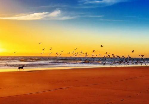 Sutton-on-Sea House | The Beach House! Just Steps from the Beach & Attractions - Perfect for Couples & Family Stays with Private Parking, Large Garden & Fast Free WiFi - The Perfect Seaside Getaway!