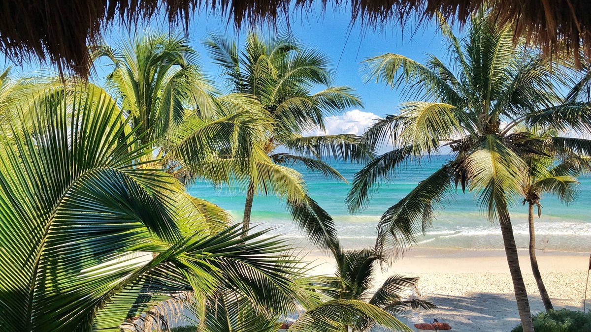 Zona Hotelera Resort | The Beach Tulum Hotel