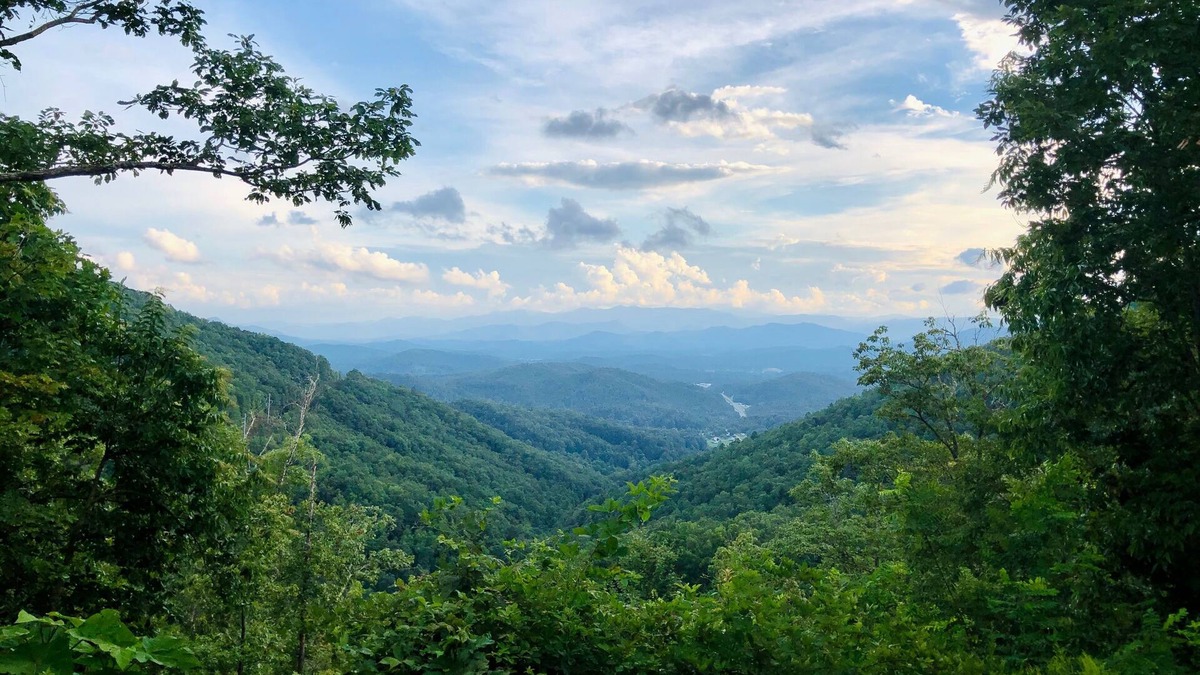 Franklin Cabin | The Beautiful View!