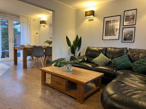 Belfast Apartment | The Beaver House