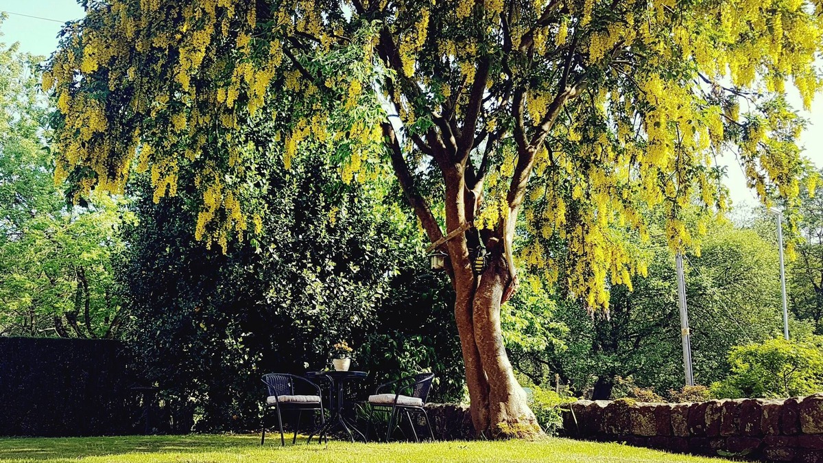 Oakamoor House | The Beehive Guest House