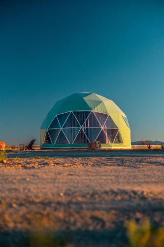 Willcox Other | The Beer Dome