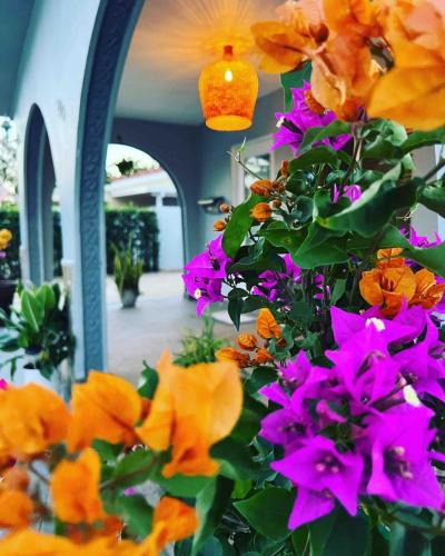 Flagami House | The blue Homestay near Miami Airport