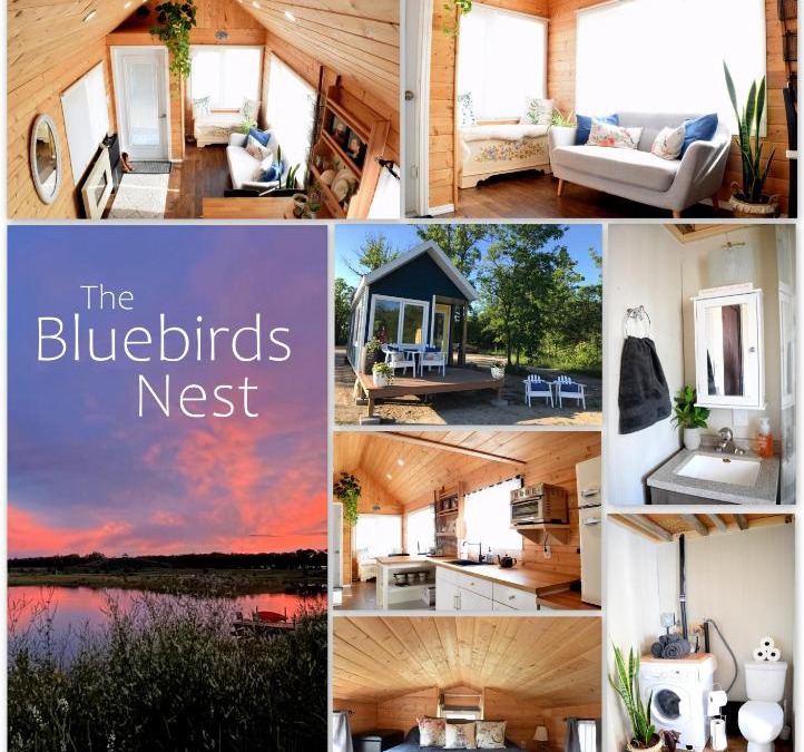 New Bothwell House | The Bluebirds Nest