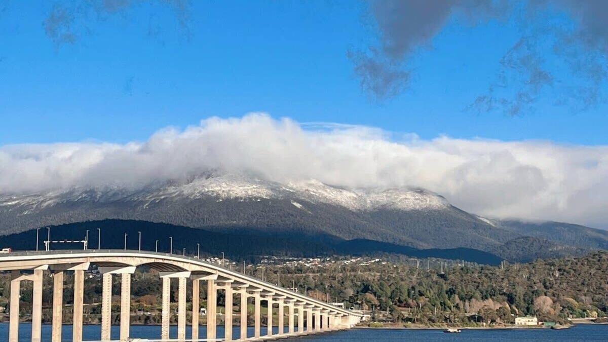 Rose Bay House | The Bridge Seaside Riveting House at Rose Bay