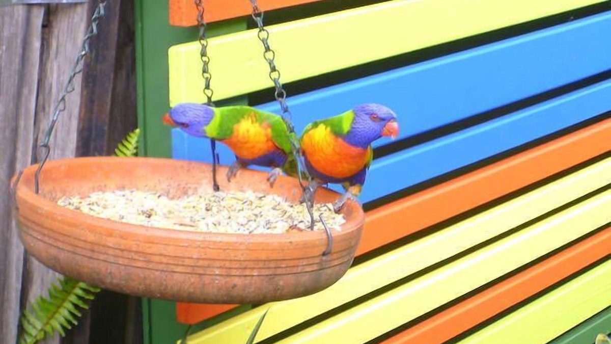 Huskisson Cabin | the bungalow, huskisson