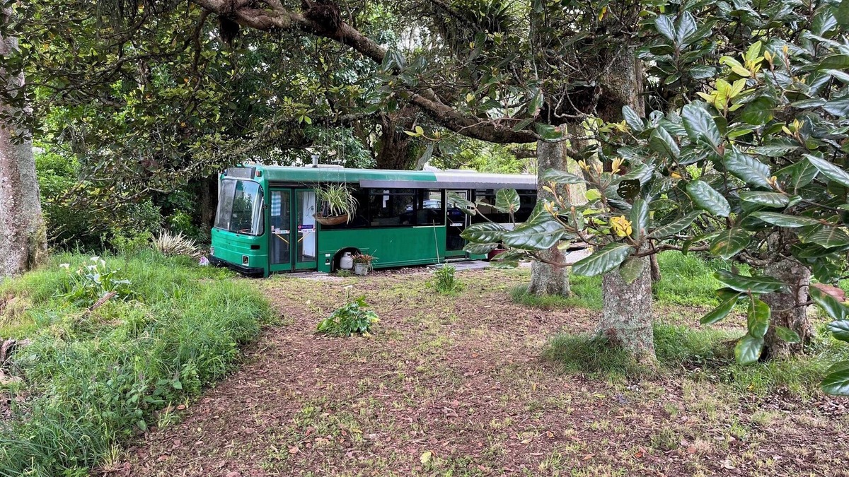 Maungatapere Apartment | The Bush Bus Nature’s Hideaway Whangarei, Maungatapere